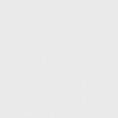 Обои W185013 Rasch Wall Up Step-Up Wall Up коллекция Step-Up производства РОССИЯ в интернет-магазине Обоитрейд