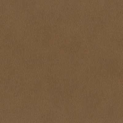Обои 751079 Rasch Африканская Королева 3