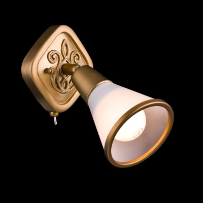 Спот Maytoni Spot SP008-CW-01-G