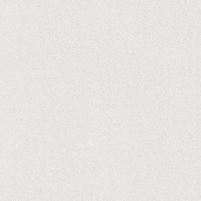 Обои 144000 Rasch Wallton