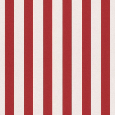 Обои 246032 Rasch Bambino 18