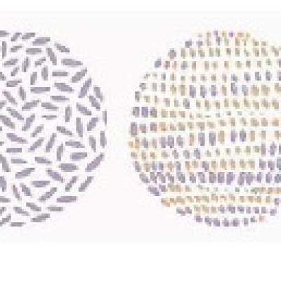 Обои 69253050 Caselio Pretty Lili