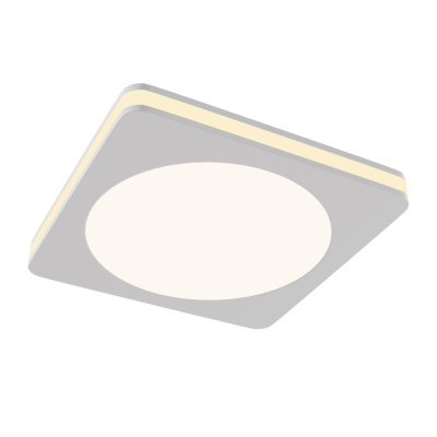 Встраиваемый светильник Technical Downlight DL303-L12W