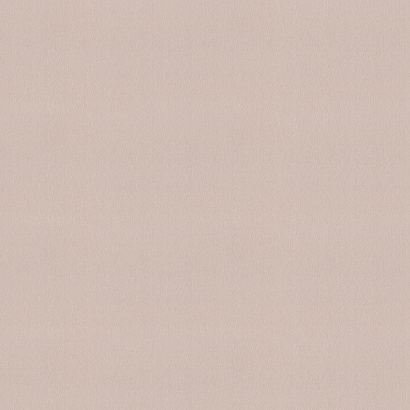 Обои 978544 Rasch Unitex Rasch коллекция Unitex производства  в интернет-магазине Обоитрейд