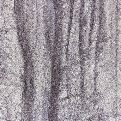 Обои 70392-65 R аспект Акцент Таинственный лес R аспект коллекция Акцент Таинственный лес производства РОССИЯ в интернет-магазине Обоитрейд