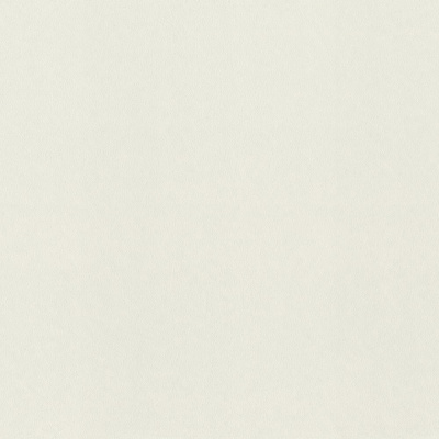 Обои 980318 Rasch Fresh Up