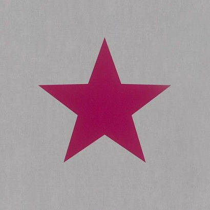 Обои 248111 Rasch Kids&Teens Rasch коллекция Kids&Teens производства Германия в интернет-магазине Обоитрейд