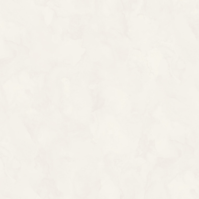 Обои W197043 Rasch Bright Whisper