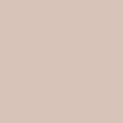 Обои IMG5 001/2 Loymina Загадочный лес