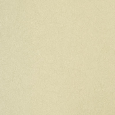 Обои 5068-85 Bernardo Bartalucci Legend