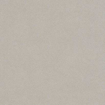 Обои 479409 Rasch Rasch b.b home passion V / Allergretto / Beachhouse Rasch коллекция Rasch b.b home passion V производства Германия в интернет-магазине Обоитрейд