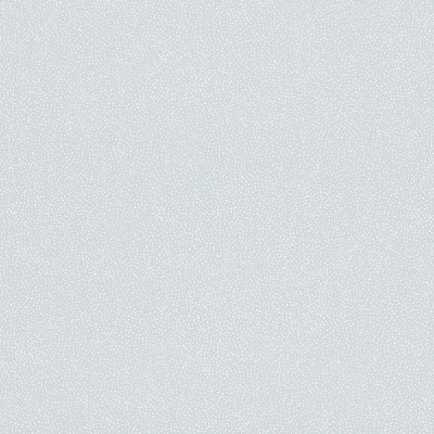 Обои 246124 Rasch Bambino 17