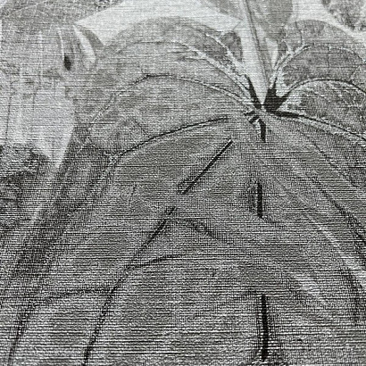 Обои 39409-3 AS Creation Royal botanic AS Creation коллекция Royal botanic производства Германия в интернет-магазине Обоитрейд