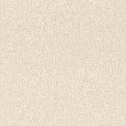 Обои 752625 Rasch African Queen 3 Rasch коллекция African Queen 3 производства Германия в интернет-магазине Обоитрейд