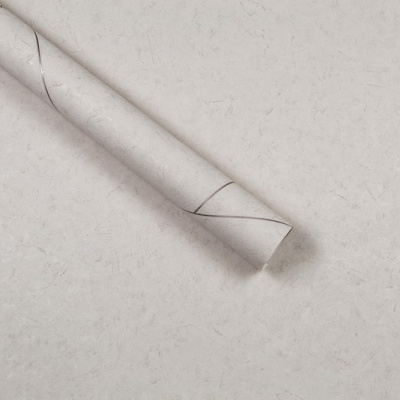 Обои FM72052-22 Family Betoline