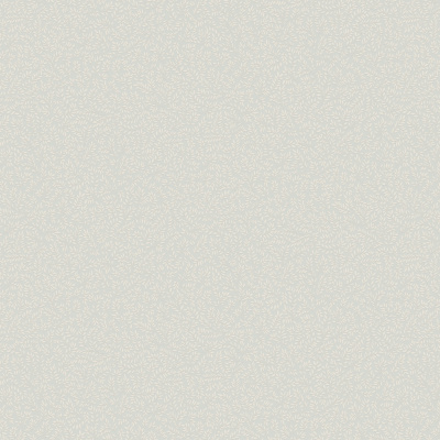 Обои W189115 Rasch Bright Whisper