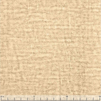 Обои 905557 Rasch Bellize