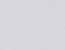 Обои 5010-150 Rips Private R / NC Флизелин