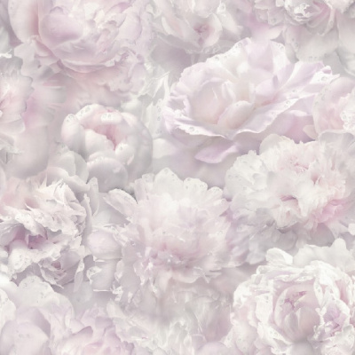 Обои HC71995-15 Home color Pions