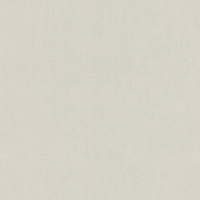 Обои 247114 Rasch Bambino 18