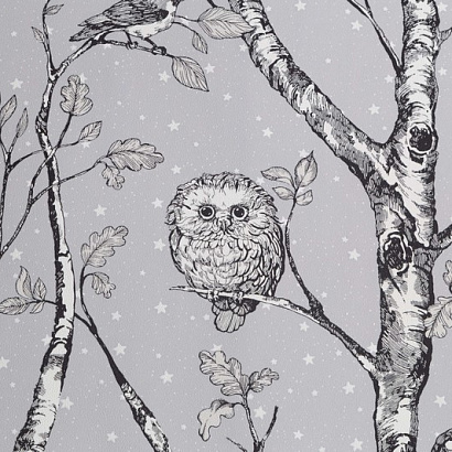 Обои HC71534-14 Home color Wonderful Home color коллекция Wonderful производства РОССИЯ в интернет-магазине Обоитрейд