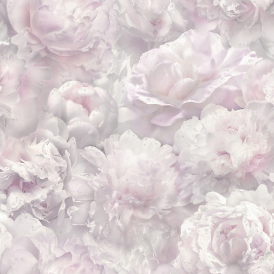 Обои HC71995-15 Palitra Home Color Пионы