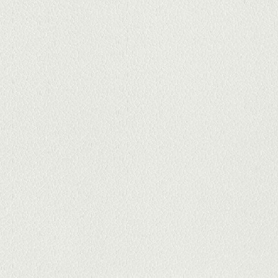 Обои 124422 Rasch Wallton