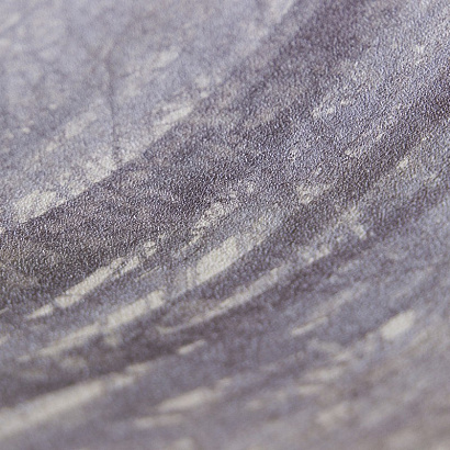 Обои 70392-65 R аспект Акцент Таинственный лес R аспект коллекция Акцент Таинственный лес производства РОССИЯ в интернет-магазине Обоитрейд