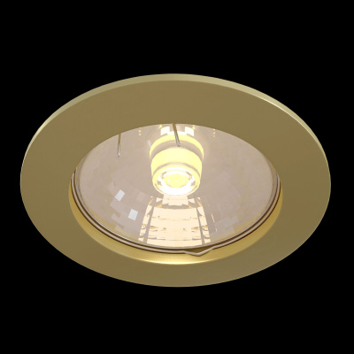Встраиваемый светильник Technical Downlight DL009-2-01-G