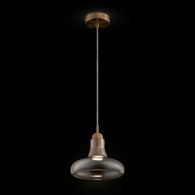 Подвесной светильник Maytoni Pendant P016PL-01BS