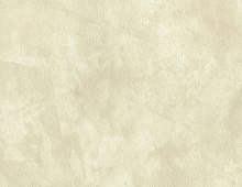 Обои 906707 Rasch Venezia