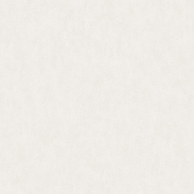 Обои W190002 Rasch Bright Whisper