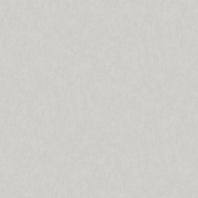 Обои W190023 Rasch Bright Whisper