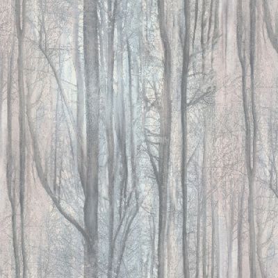 Обои 70392-56 R аспект Акцент Таинственный лес