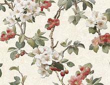 Обои 1005-3 Alessandro Allori Giorgio