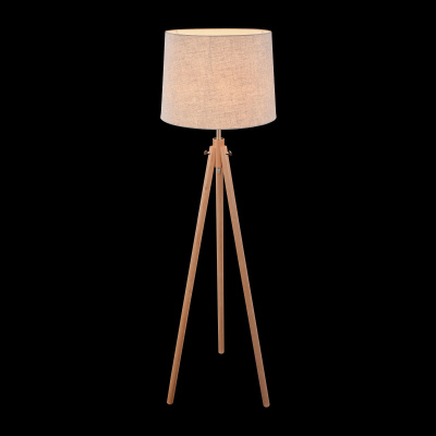 Торшер Maytoni Table & Floor Z177-FL-01-BR