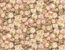 Обои BM25030 Blumarine Блюмарин №2