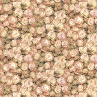 Обои BM25030 Blumarine Блюмарин №2