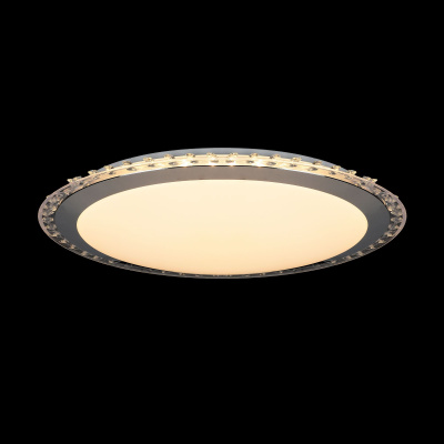 Потолочный светильник Freya LED FR6441-CL-30-W