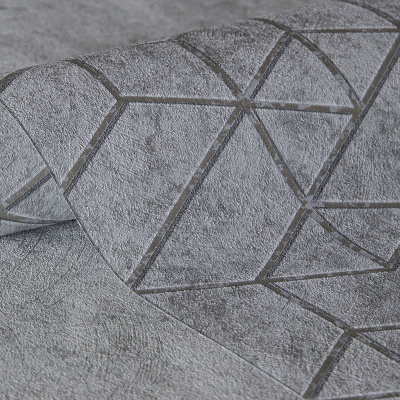 Обои 70375-14 R аспект Концепт