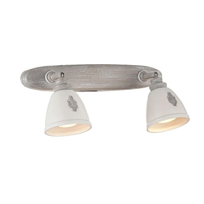 Спот Maytoni Spot SP289-CW-02-BG