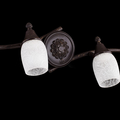 Спот Maytoni Spot SP563-CW-04-R