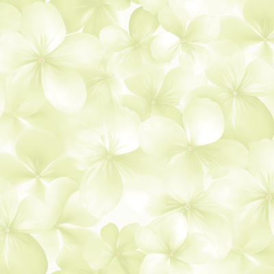 Обои 54483-5 Andrea Rossi Spectrum Boom