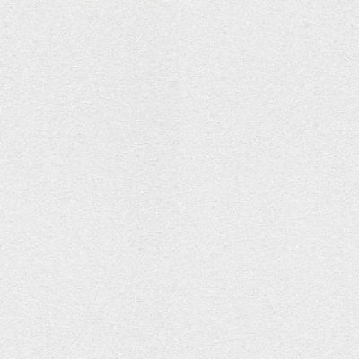 Обои 161311 Rasch Wallton