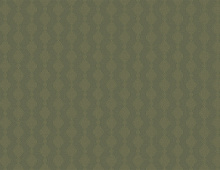 Обои BRIT21 005/1 Loymina Шервуд