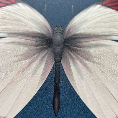 Обои 54401-8 Andrea Rossi Cheradi