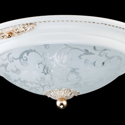 Потолочный светильник Maytoni Ceiling & Wall C907-CL-02-W