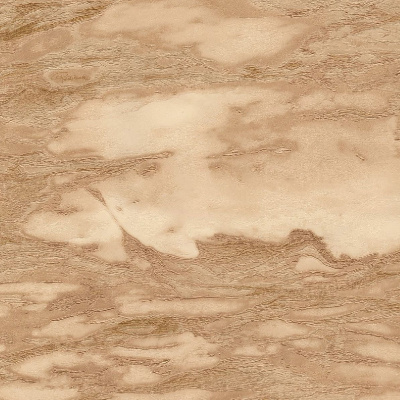 Обои 21029 Emiliana Parati Roberto Cavalli 9