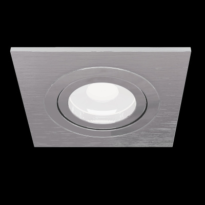 Встраиваемый светильник Technical Downlight DL024-2-01S