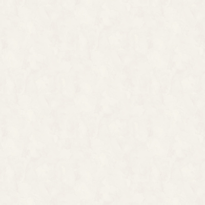 Обои W197043 Rasch Bright Whisper